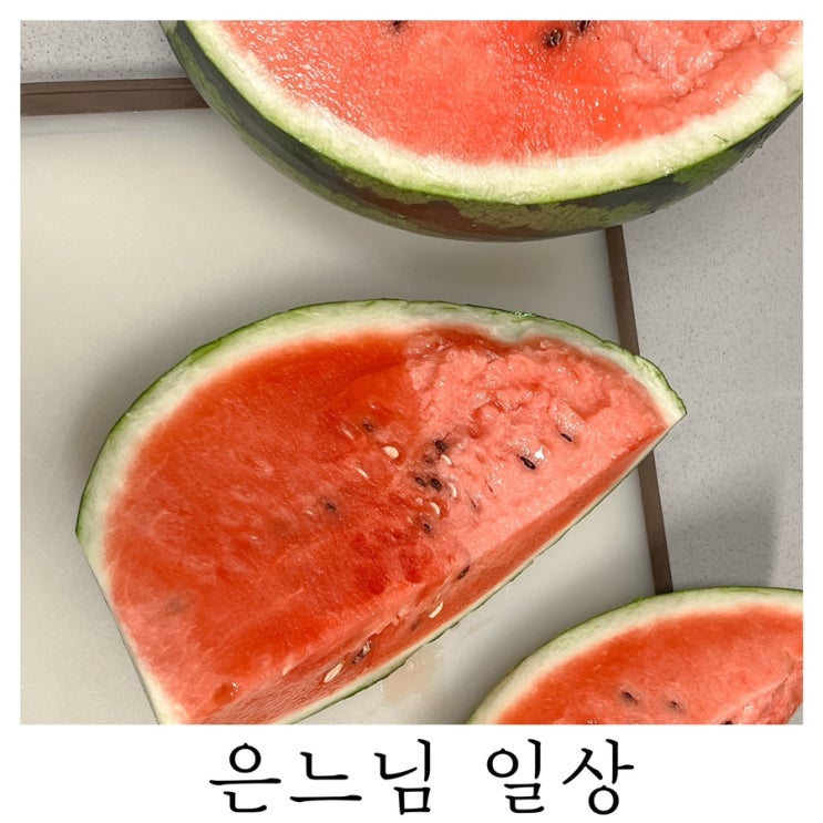  [은느님 일상]여름이 다가오고 있구나