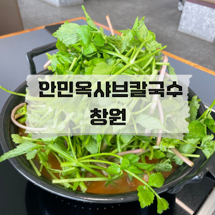  [경남/창원]미나리가 듬뿍 들어간 샤브샤브맛집 안민옥샤브칼국수