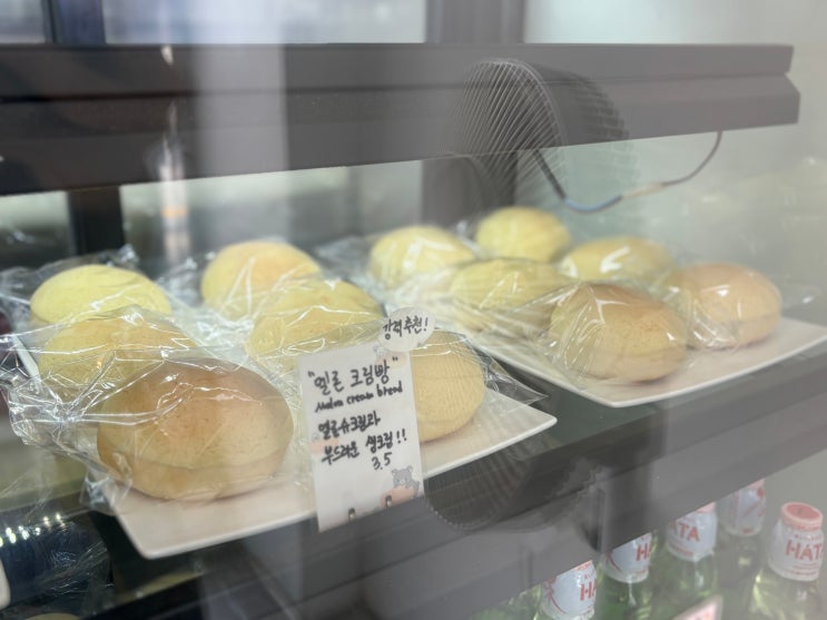  목동역 빵집 TV속 맛집 메론빵 웨이팅 꿀팁 카멜리온