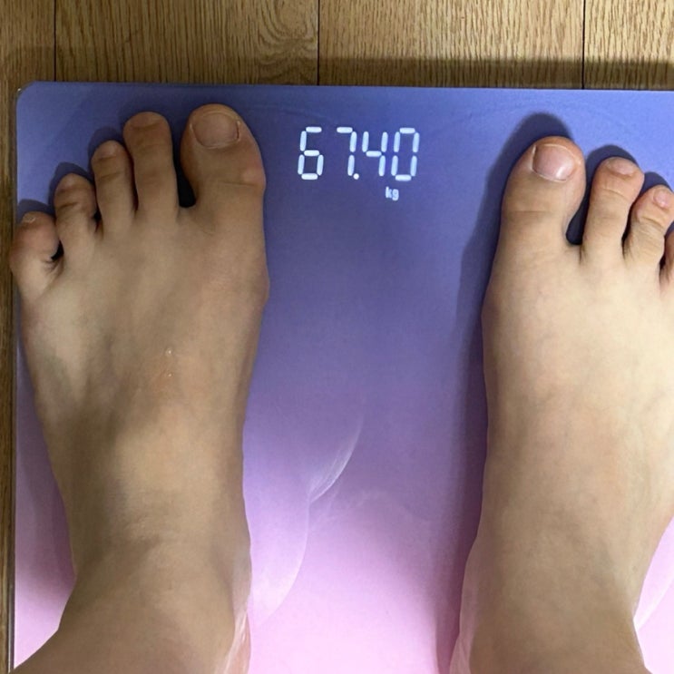  D+12 다이어트기록(사진수정)