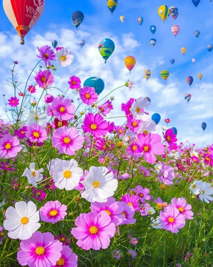   오늘의 생활정보 (2024-04-27, 토)