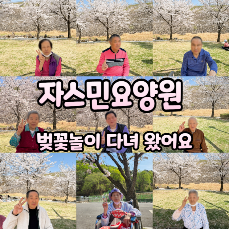  자스민요양원 어르신들 벚꽃놀이 하고왔어요