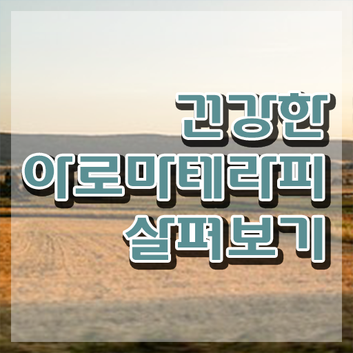  아로마뷰티diy지도사 특강 , 아로마뷰티DIY지도사 자격증 응시자격 없이 취득한 노하우 및 일자리