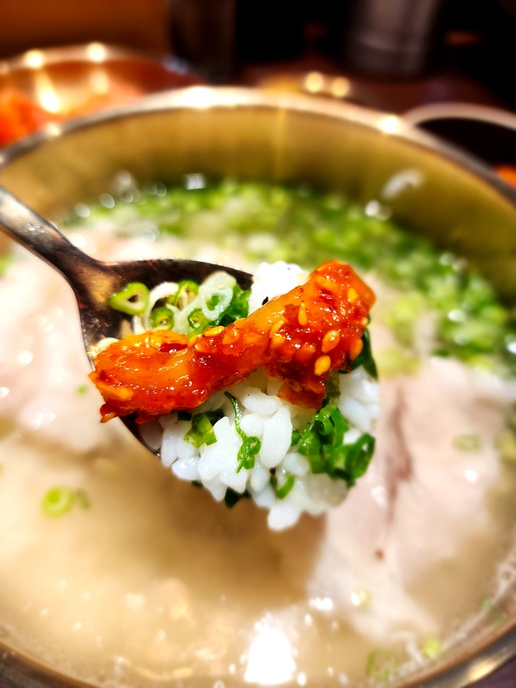  수원 아주대맛집 혼밥 명소 아주대학교 맛집