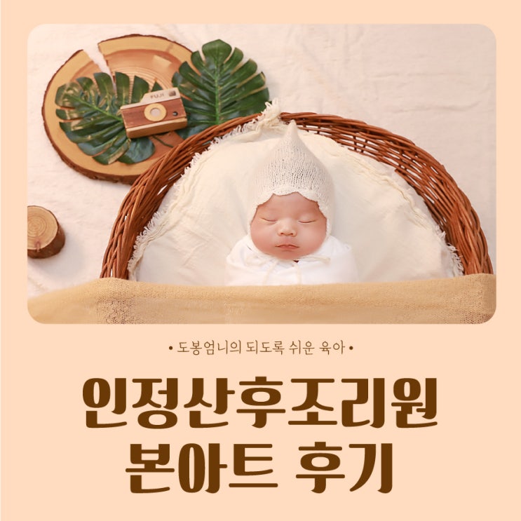  인정병원 산후조리원 본아트 신생아 사진 후기