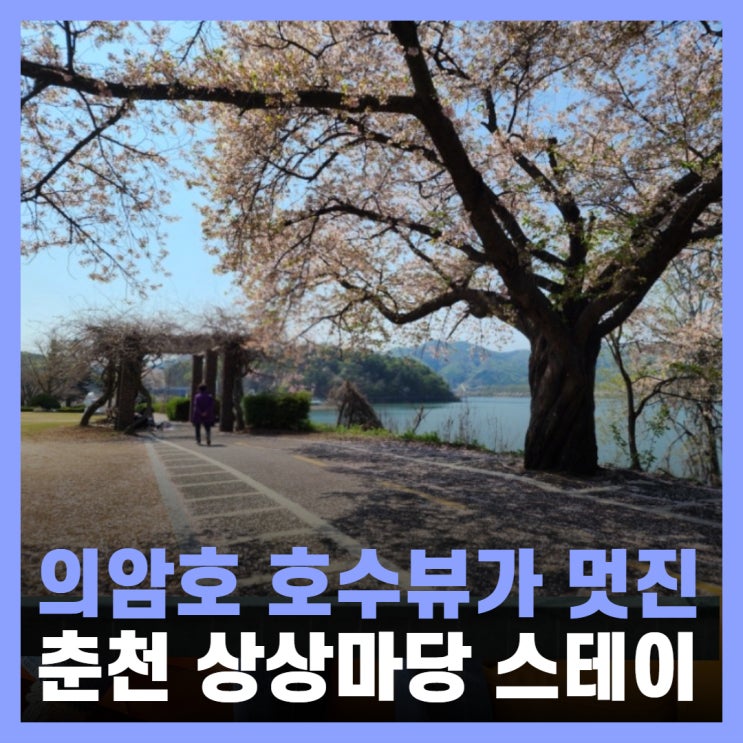  춘천 숙소 자전거 타고 산책하기 좋은 KT&G 상상마당 스테이 후기