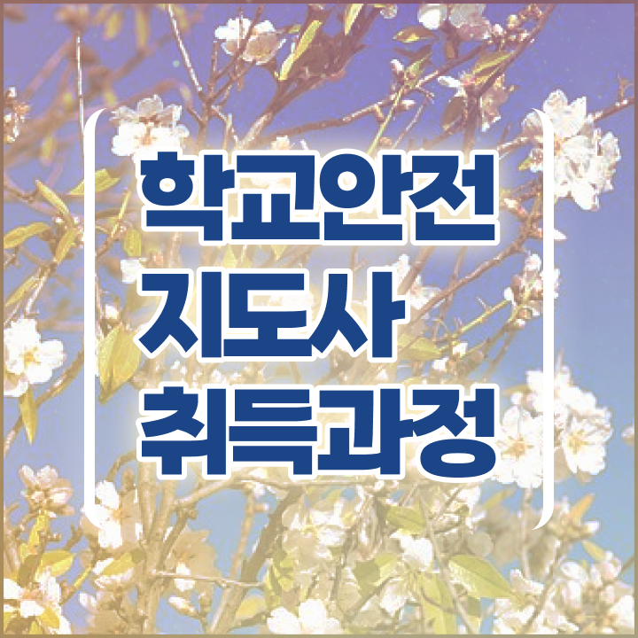  학교 내 안전사고 , 학교안전지도사 자격증 취득과정 필수 정보