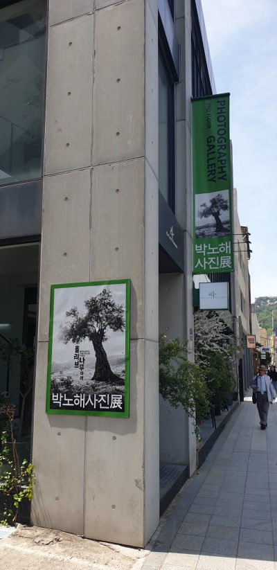 [서울 가볼만한 곳] 서촌 한옥마을 골목길 투어/ 도보코스 볼거리 전시갤러리 맛집 카페 : 네이버 블로그