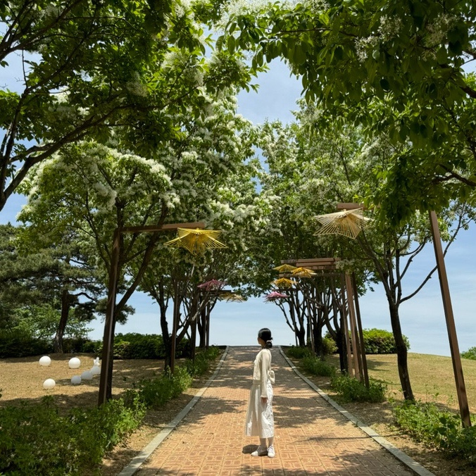  대구 꽃구경 실시간 이팝나무 명소 해맞이공원