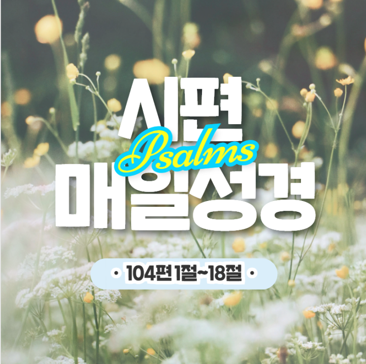 매일 성경 큐티 4월 29일 시편 104:1-18 나눔 17일차 매일 성경 큐티 4월 29일 시편 104:1-18 나눔 17일차