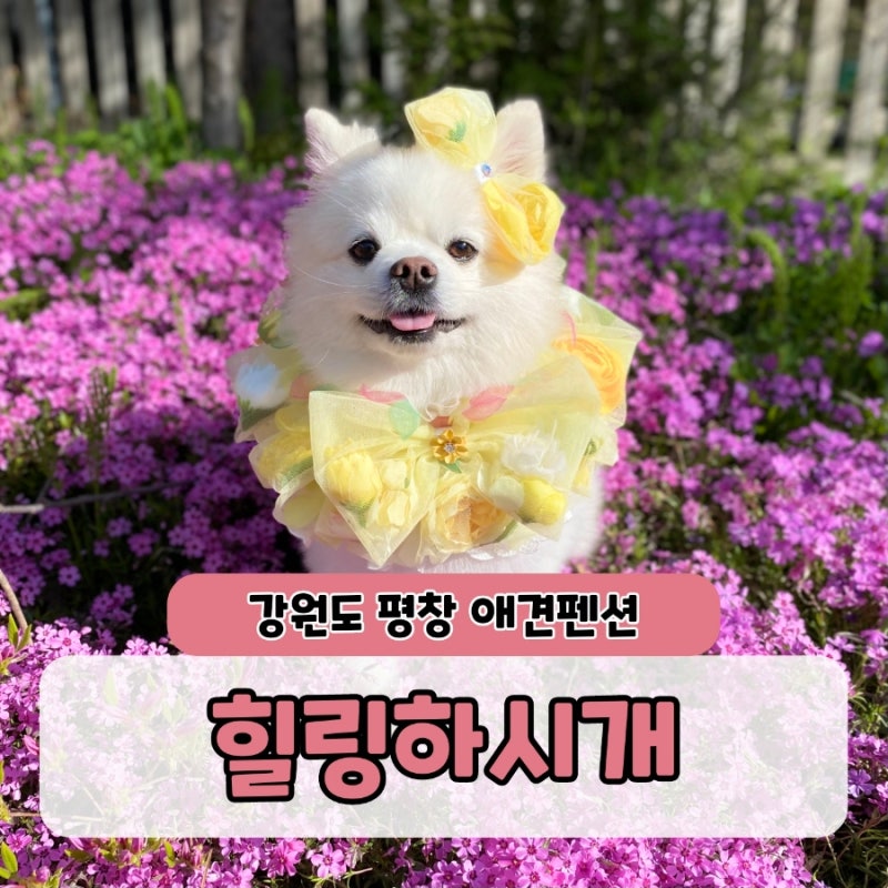 사진 14