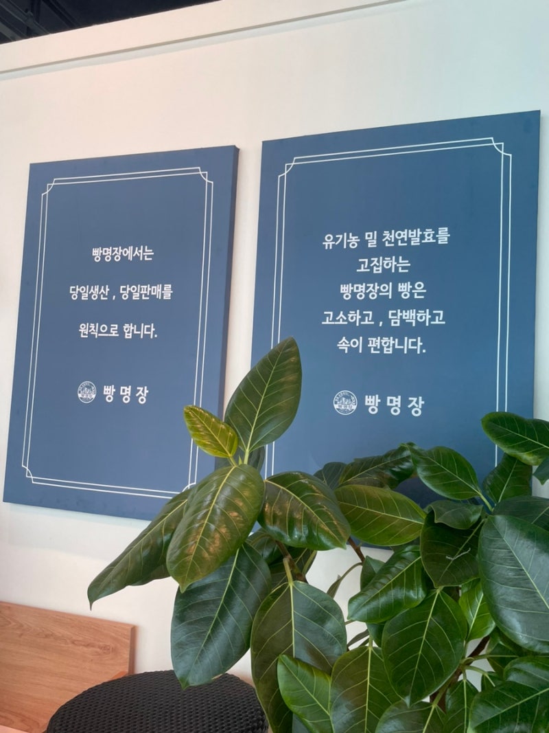 이미지 26735057