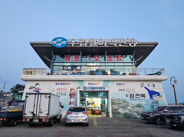  경주 감포 횟집 수협활어직판장 제일수산 회 포장 후기