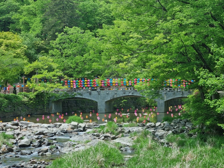  충남여행 공주가볼만한곳 공주사찰 세계문화유산 마곡사