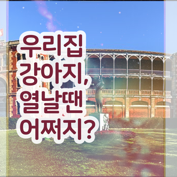  반려견행동교정사자격증 , 반려동물관리사 자격증 비용없이 온라인으로 취득 정보 살펴보기
