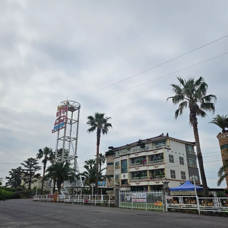  [제주] 단체 제주여행 이색적인 제주 액티비티 왕복짚라인 후기
