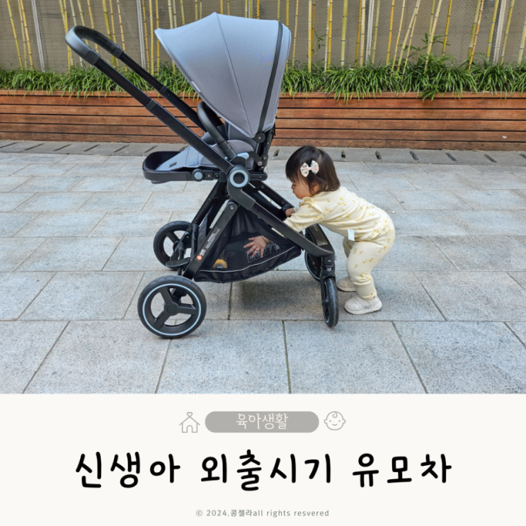  신생아 외출 시기 유모차, 니스툴그로우 Rover60