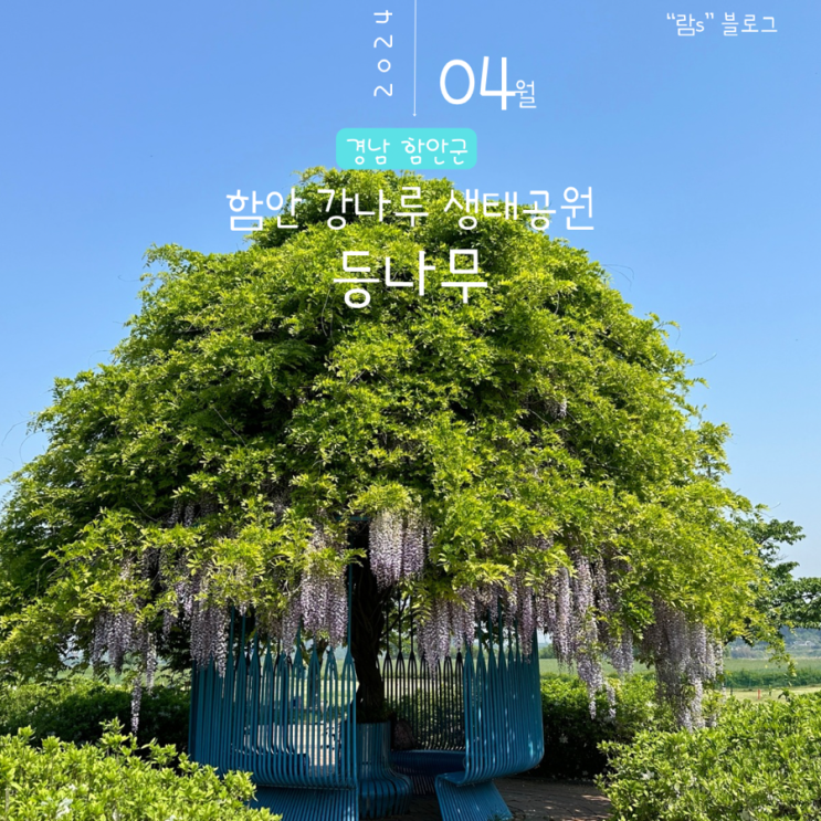 함안 등나무 강나루생태공원 가는길 주차장 정보