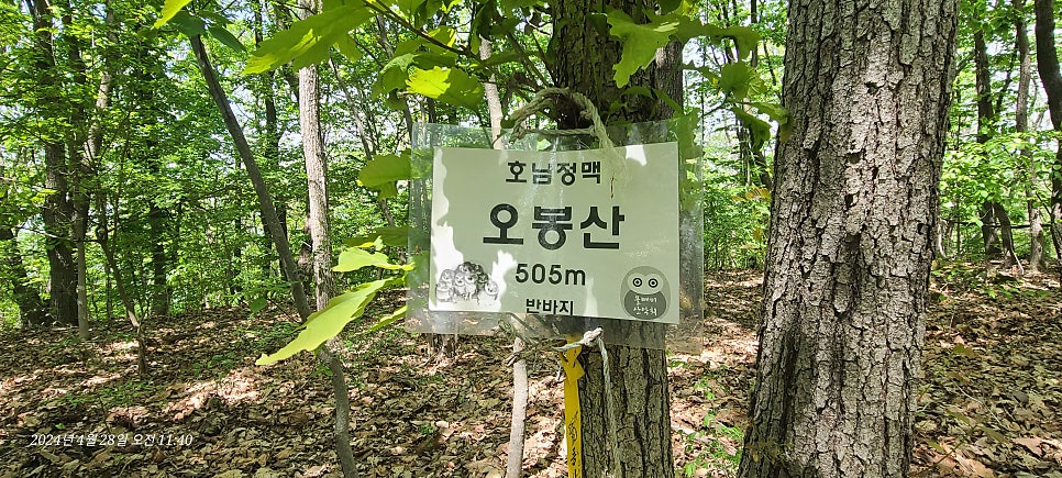 박이뫼산 사진 5