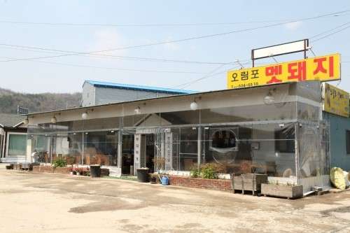 오림포멧돼지 사진 1