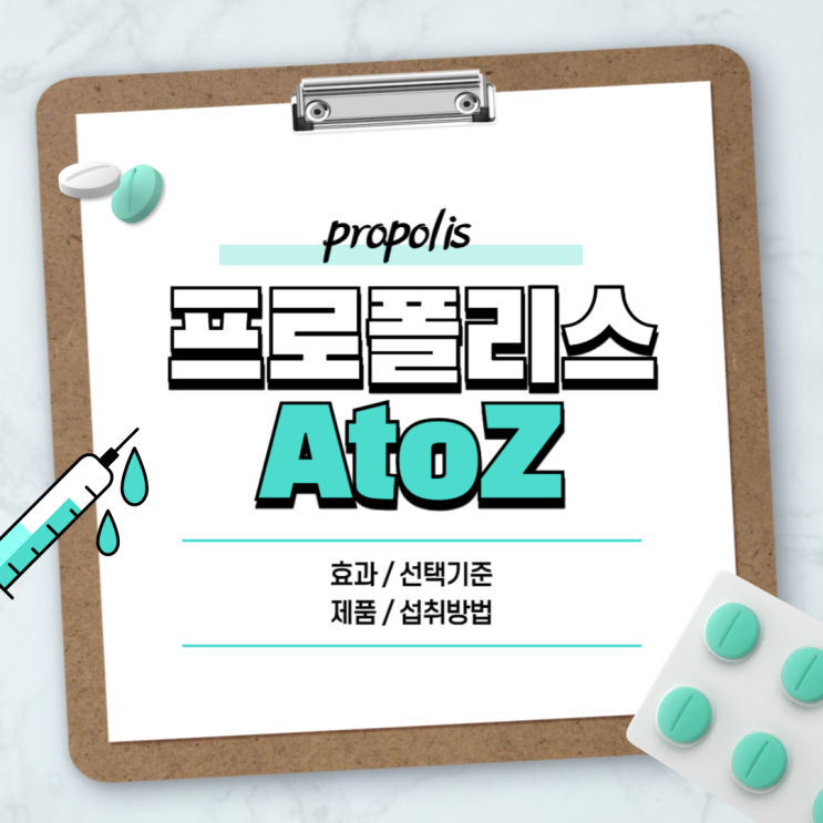  프로폴리스 효능 부작용 선택기준