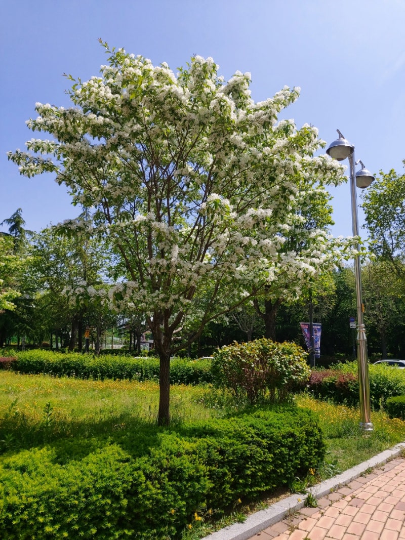 사진 6