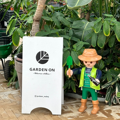 용인 가든<b>온마당</b> 식집사 식쇼핑 / 제스모나이트 화분에 식물심기