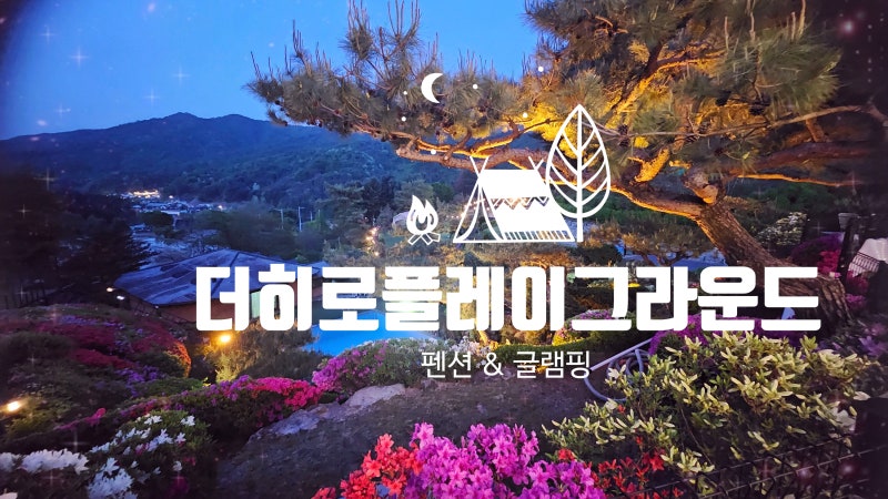 사진 10