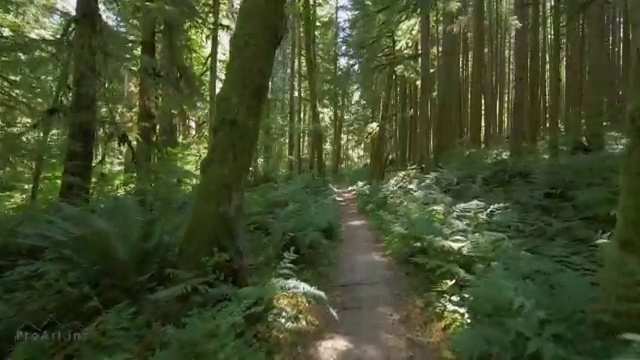  학점은행제 자격증 , 연락주세요 . 비용부담 절감 시간 단축 비법 여기서 보고가세요