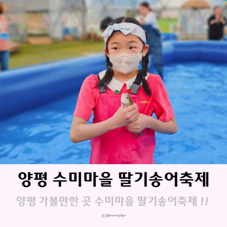 5월 경기도 양평 아이와 가볼만한 곳 수미마을 딸기송어축제