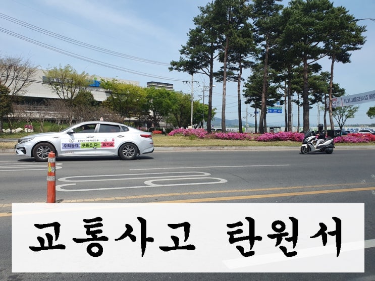  교통사고 선처 탄원서 양식 열에 아홉은 이런 행동을 합니다