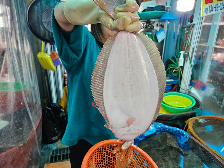  오이도 가볼만한곳 난전시장 야장 횟집 자연산 회포장