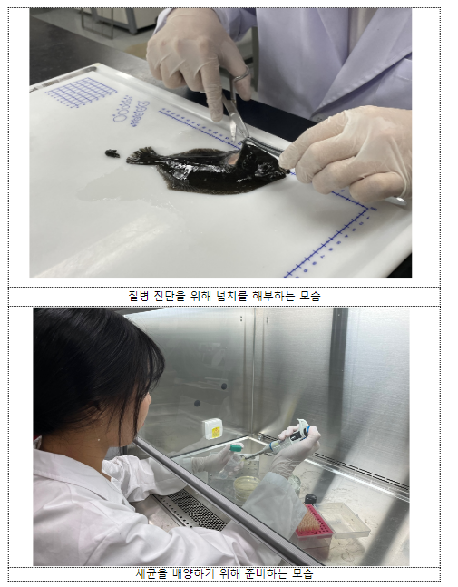 올해 ‘수산질병관리사’ 108명 최종 합격 올해 ‘수산질병관리사’ 108명 최종 합격
