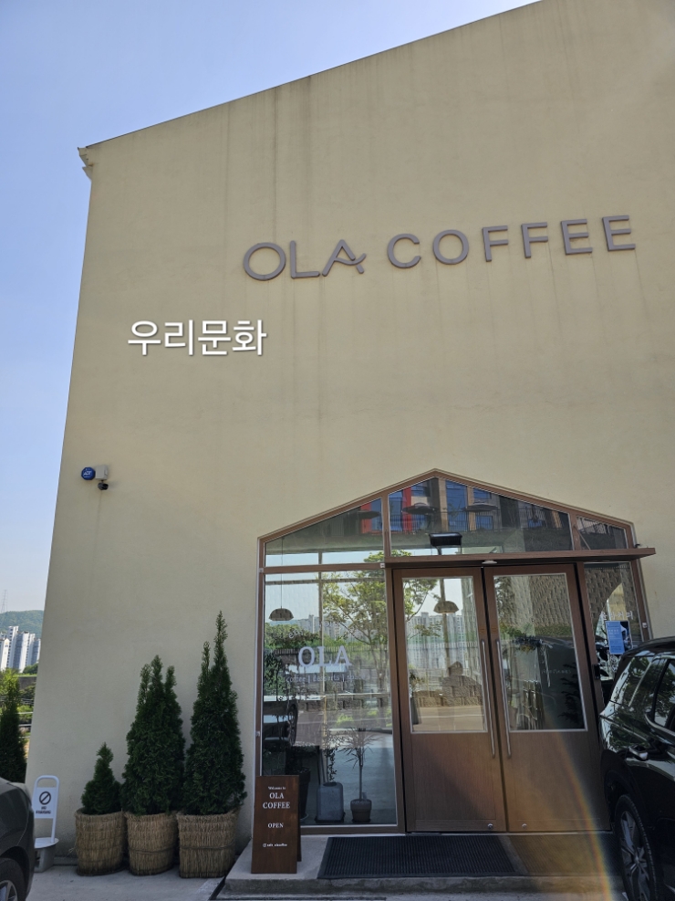 맑은날씨에 가면 더 좋은 동백 올라커피 맑은날씨에 가면 더 좋은 동백 올라커피