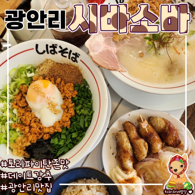 광안리 점심 맛있는 라멘집 시바소바 토리파이탄 찐맛집