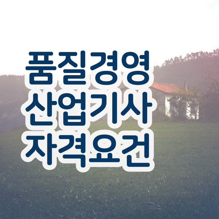  품질경영산업기사 국비지원 품질경영산업기사 응시조건 인강만 듣고 간단하게 끝냈던 방법