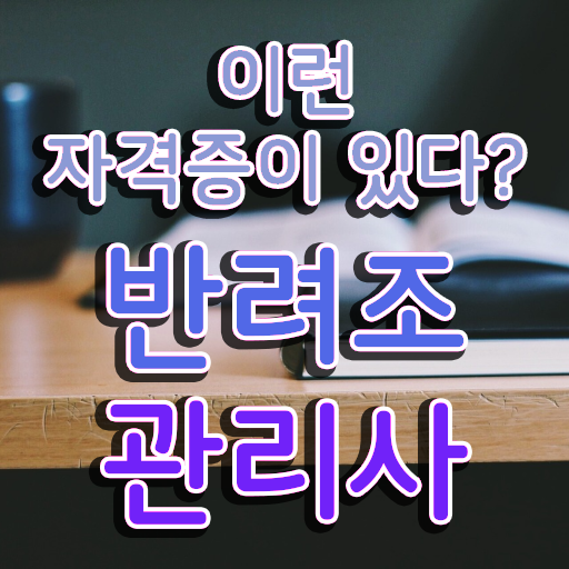  모란앵무분양 , 반려조관리사 자격증 단기간에 합격정보 확인해보세요
