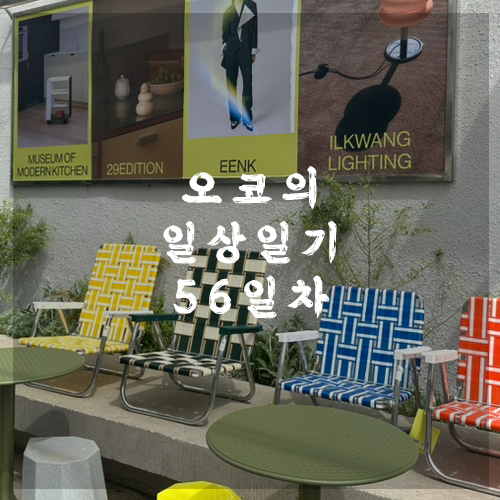  오코의 100일 일상일기 DAY 56 지갑 잃어버려서 슬프지만 괜찮아