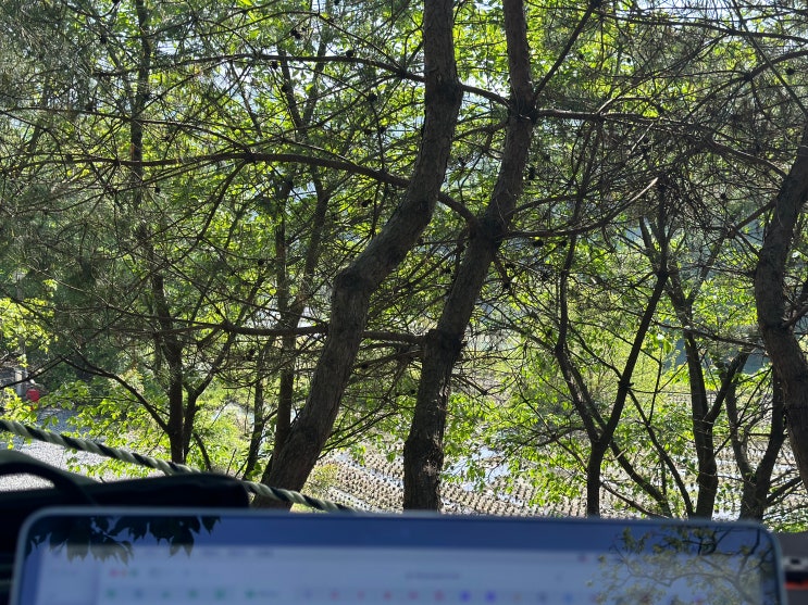  세종 근교 키즈 캠핑장 풍성채 B동 5번 후기