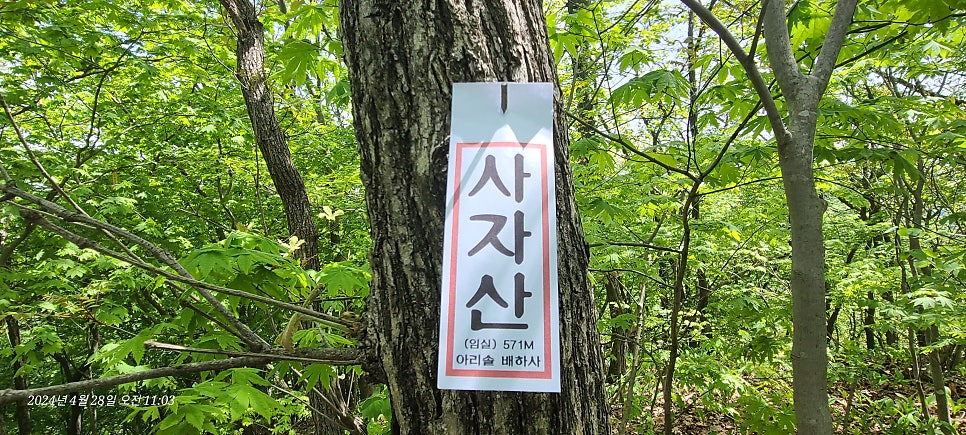 박이뫼산 사진 3
