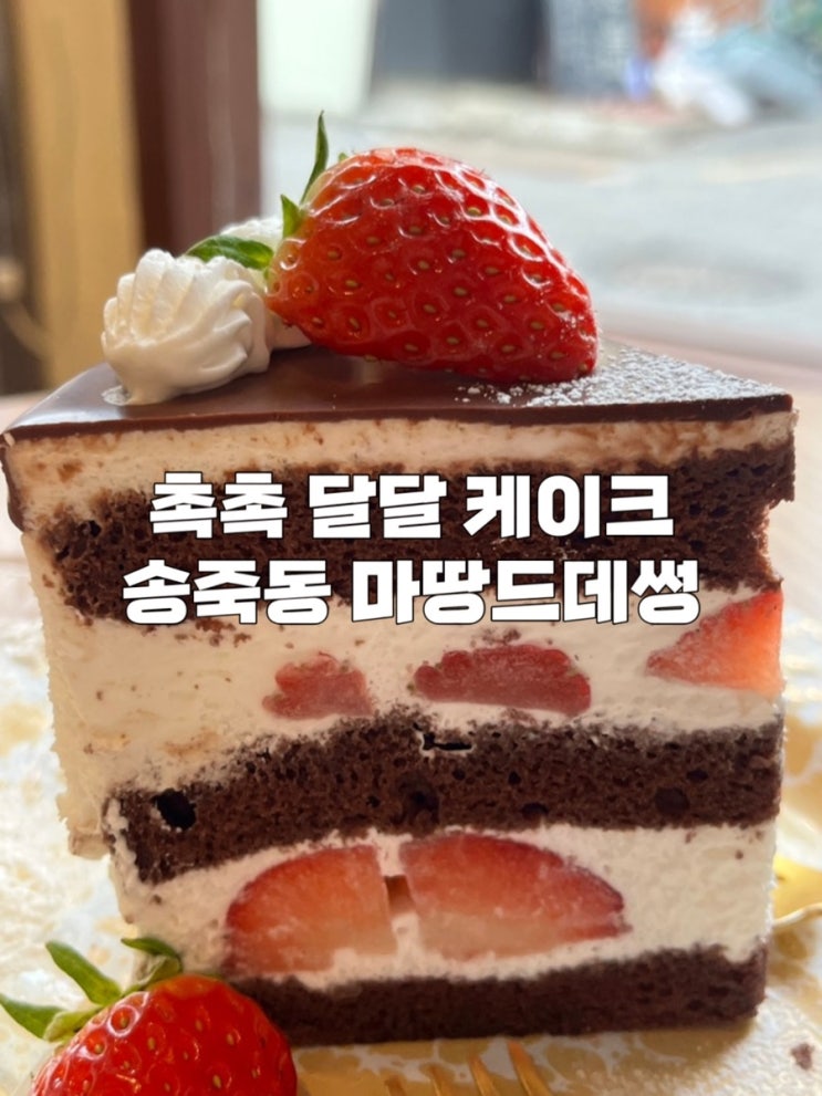  [수원] 만석공원 근처 피크닉 대여 카페 송죽동 딸기케이크 맛집  ‘마땅 드 데썽’ 내돈내산 후기