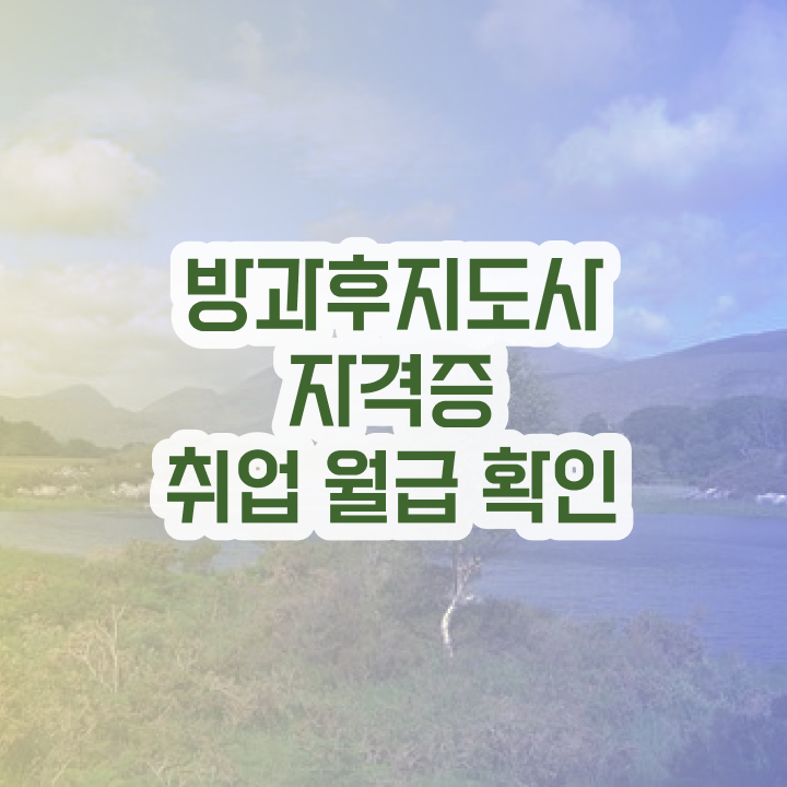  방과후지도자 , 구체적인 방과후지도사 준비 과정 요점정리