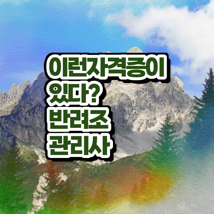  코뉴어 앵무새 분양 , 반려조관리사 자격증 온라인으로 쉽게 준비 과정 준비했어요