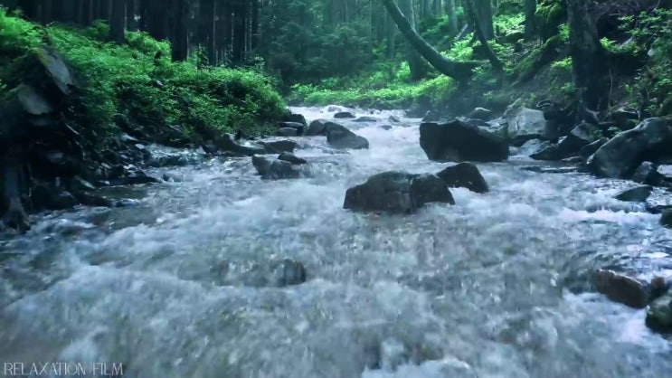  스포츠심리상담원 , 스포츠심리상담사 자격증 2주 만에 합격정보 알아볼게요