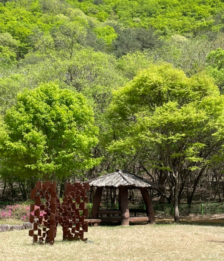  4월 4주차 주간일기 | 세탁특공대 그만 죄송해주세요