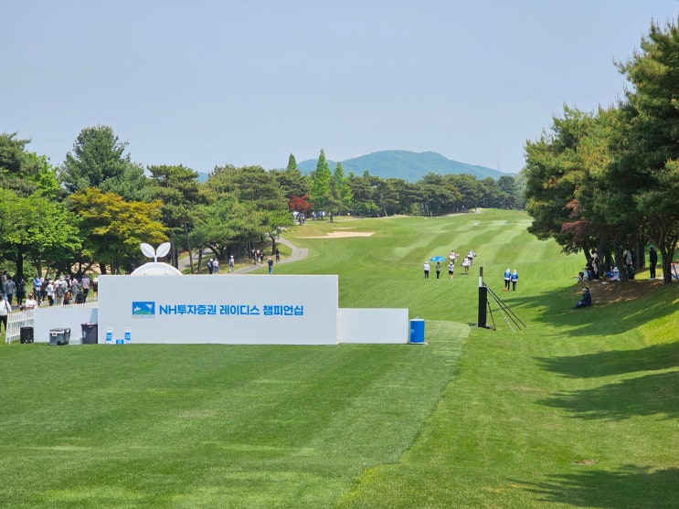 KLPGA 골프대회 2024 NH투자증권 <b>레이디스 챔피언십</b> 골프... 