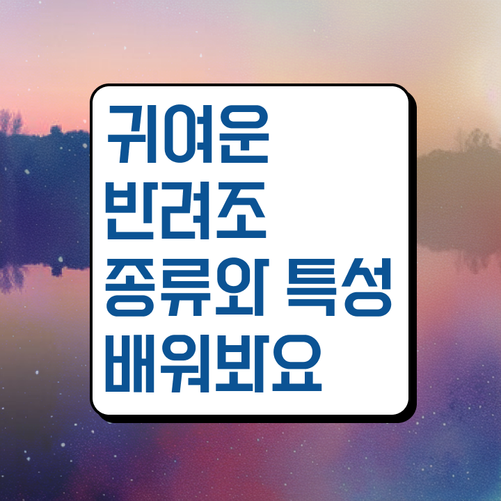  모란앵무 입질 , 반려조관리사 자격증 비용없이 온라인으로 취득 노하우 정리