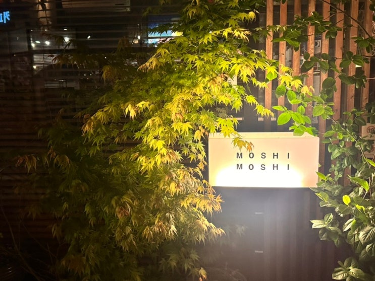  압구정 로데오 술집 @모시모시⎢조용한 분위기의 일본식 감성 술집