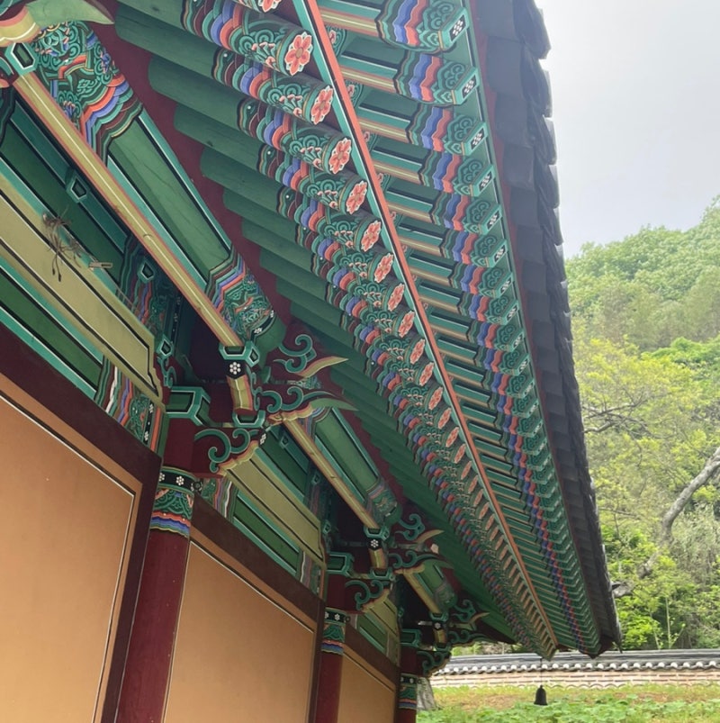 사진 2