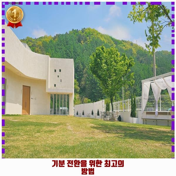 사진 2
